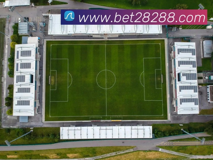 bet365comAPP 封面图